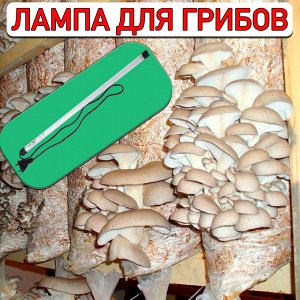Светильник для выращивания грибов (лампа для грибов) светодиодный линейный, 520мм. Пластик. ULT-P91-10W/STUM IP66 CLEAR