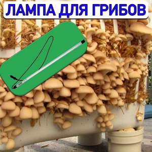 Светильник для выращивания грибов (лампа для грибов) светодиодный линейный, 885 мм, пластик ULT-P92-14W/STUM IP66 CLEAR