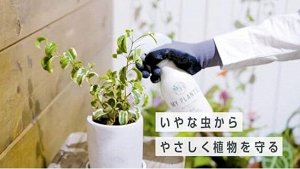 Sumitomo My Plants - двухкомпонентное средство для защиты растений от насекомых