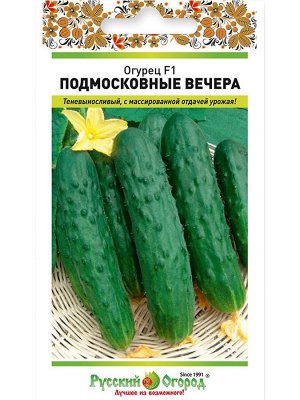 Огурец Подмосковные вечера F1