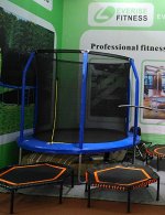 Батут HC-FT-8FT (диам.244см) (1/1) с лестницей