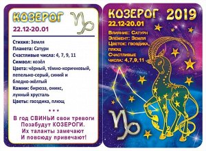 ДВОЙНОЙ карманный календарь 2019 с глиттером "Звездный гороскоп №3" (козерог)