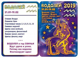 ДВОЙНОЙ карманный календарь 2019 с глиттером &quot;Звездный гороскоп №3&quot; (водолей)