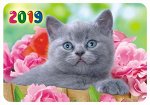 Карманный календарь 2019 с глиттером &quot;Кошки&quot;