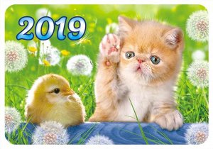 Карманный календарь 2019 с глиттером "Кошки"