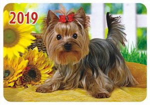 Карманный календарь 2019 с глиттером "Собаки"
