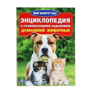 978-5-506-01633-5 (30) "УМКА". ДОМАШНИЕ ЖИВОТНЫЕ (ЭНЦИКЛОПЕДИЯ А4 С РАЗВИВАЮЩИМИ ЗАДАНИЯМИ) 214Х290ММ, 16 СТР. в кор.30шт