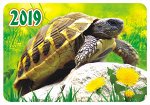 Карманный календарь 2019 с глиттером &quot;Домашние любимцы&quot;