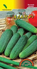 Огурец Адам F1