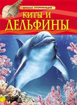 17332 Киты и дельфины. Детская энциклопедия