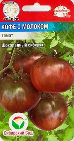 Томат Кофе с молоком