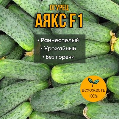 Семена F1 Голландия - Суперские семена F1 (Голландия). В наличии ...
