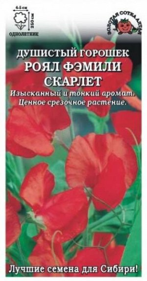 Цветы Горошек Душистый Роял Фэмили Скарлет ЦВ/П (СОТКА) 0,5гр однолетник до 2,5м