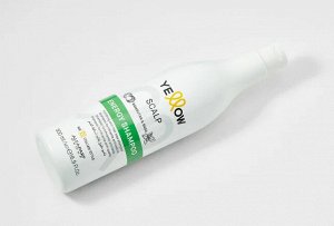 Шампунь энергетический для роста волос YE ENERGY SHAMPOO,500 мл .