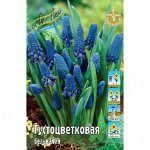АКЦИЯ ЛУКОВИЦЫ ПОСЛЕ СТРАТИФИКАЦИИ - ГИАЦИНТЫ, ТЮЛЬПАНЫ / дл