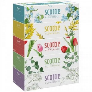 Салфетки Crecia "Scottie Flowerbox" двухслойные, 250 шт. х 5 коробок / 12