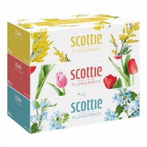 Салфетки Crecia "Scottie Flowerbox" двухслойные, 250 шт. х 3 коробки / 18