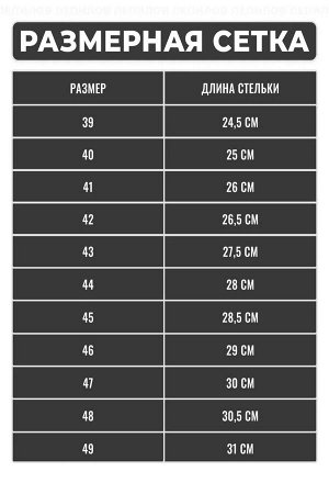 Тапочки мужские