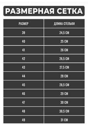 Тапочки мужские
