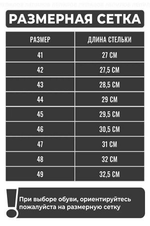 Тапочки мужские