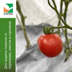 Комплект для томатов (бело-черный 80-1,06 -6м перф 1ряд 50*8 + белый 30-3,2- 8м + лента L=15)