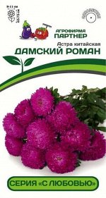 Астра китайская Дамский Роман (Хризантелла)