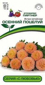 Астра китайская Осенний Поцелуй (Хризантелла)