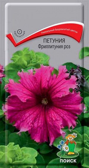 Петуния Фриллитуния роз