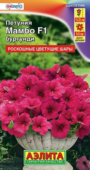 Петуния Мамбо бургунди F1 (многоцветковая)