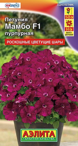 Петуния Мамбо пурпурная F1 (многоцветковая)