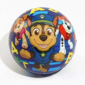 Мягкий мяч Paw Patrol «Алфавит», 6,3см, МИКС