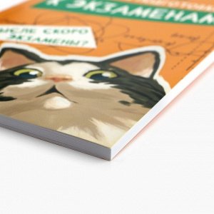 Планер для подготовки к экзаменам, А5 60 л. Мягкая обложка «Кот»