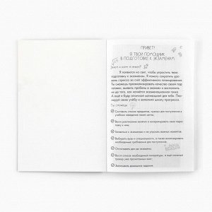 Планер для подготовки к экзаменам, А5 60 л. Мягкая обложка «Красный»