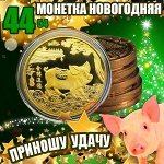 Монетка на удачу с символом 2019 года