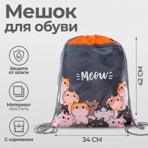 Мешок для обуви «Коты» (с карманом) 42×34 см