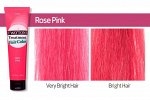 Etude Маска оттеночная для волос Роза-Pозовая Treatment Hair Color Two Tone Rose Pink №10, 150 мл