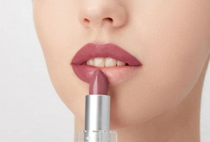 Influence Beauty Помада стик INFLUENCE тон 12, горький шоколад