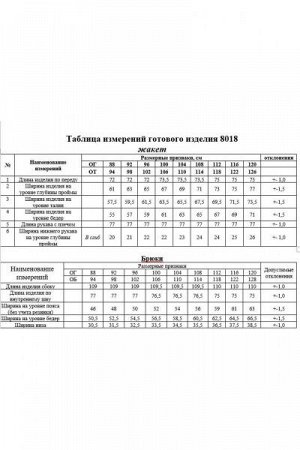 Женский брючный костюм-двойка