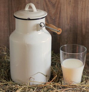 Молоко Сударыня 3,2%