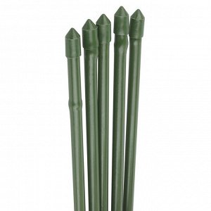 Опора бамбуковая в пластике 75см (D8-10)