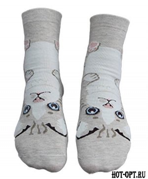Носки женские с кошками