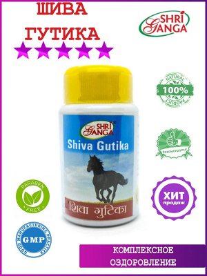 SHRI GANGA Шива Гутика | Shiva Gutika 50г