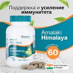 Himalaya Wellness Pure Herbs Amalaki Immunity Wellness Promotes Health Capsules 60pill / Амалаки БАД для Повышения Иммунитета 60таб/