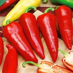 ПС Перец сладкий Сакура~3718