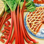 ПС Ревень Великан~2222