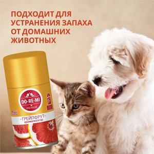 ДО-РЕ-МИ Сменный блок "Грейпфут" 250 мл