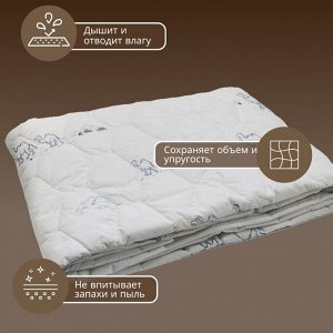Одеяло 2-спальное, 172х205 см, Эконом, силиконизированное волокно, 200 г/м2, всесезонное