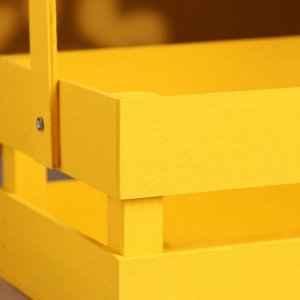 Кашпо деревянное 24.5x13.5x9 см "Двушка Лайт", двухреечное, жёлтый Дарим Красиво