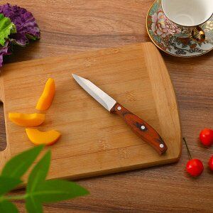 Нож кухонный,20cm