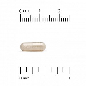 California Gold Nutrition, спермидин, экстракт зародышей риса, 1 мг, 90 растительных капсул